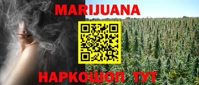 крисы Свободный